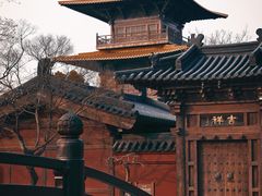 -广富林郊野公园