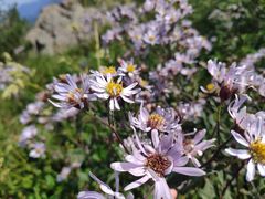 -白草畔自然风景区