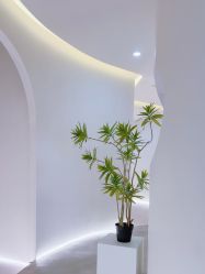 点击看大图 -VE专注问题肌·赛诺龙&科学美肤中心