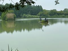 -苏州太湖国家湿地公园