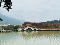 -星湖旅游景区七星岩