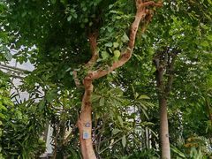 -国家植物园南园