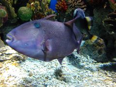 -福州罗源湾海洋世界旅游区