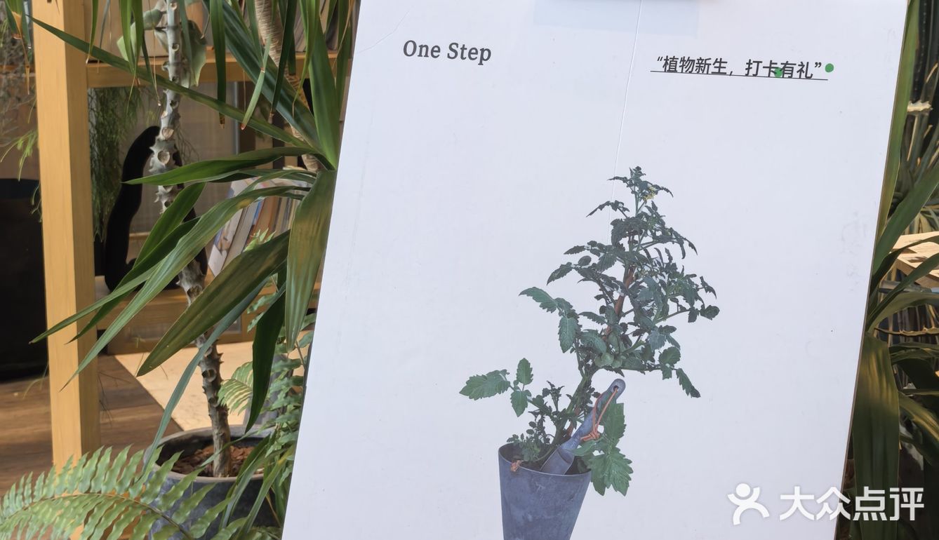 年初六誤闖植物園 之 一尺花園