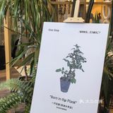 年初六誤闖植物園 之 一尺花園