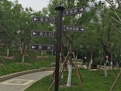 -西海子公园