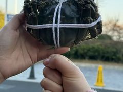 -品鲜村农家菜·阳澄湖大闸蟹(总店)