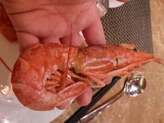 android_upload_pic-伯豪瑞廷酒店-天伦阁西餐厅