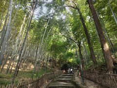 -杭州黄龙洞