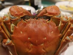 -王宝和酒家(黄浦店)