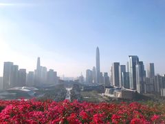 -莲花山公园