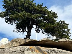 -华山风景名胜区