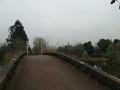 -白鹭湾湿地公园