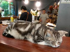 -咖法森林·咖啡  酒吧(天河店)