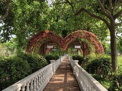 -百万葵园
