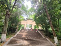 -灵谷景区