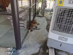 -马陆小张葡萄园农家乐