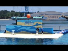 -秦皇岛乐岛海洋王国