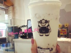 双蛋小皇椰（白屁屁）-茶力的小怪兽(梅林卓悦汇店)