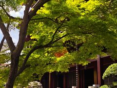 -香积寺