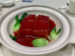 -蝶园·装修中(BFC外滩金融中心店)