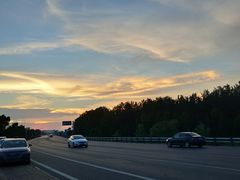 风景-合肥滨湖国家森林公园