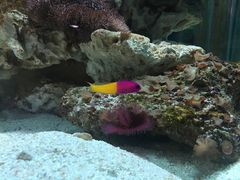 -太平洋海底世界