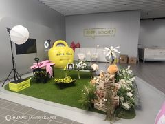 -上海浦东smart汽车全功能店(金桥店)