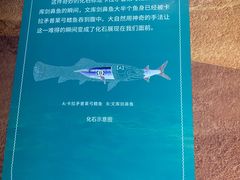 -天津自然博物馆