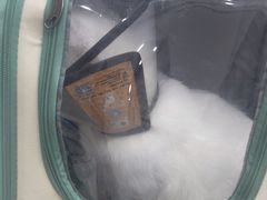 -御宝贝24h宠物医院·转诊中心·CT核磁血透中心(厦门总院)