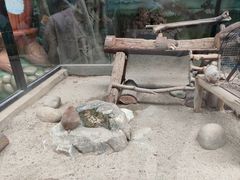 -海合安成都极地海洋公园