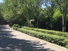 -长春公园(普阳街道)