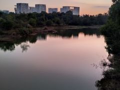 -聚龙山公园
