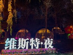 -维斯特·夜烤牛肋条任吃