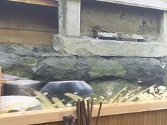-米村拌饭(摩码广场店)