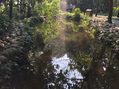-成都市活水公园