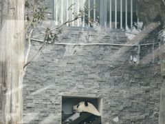 -武汉动物园