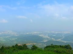 -黄埔油麻山森林公园