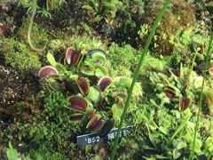 -国家植物园南园