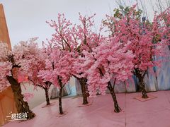 -北京欢乐谷