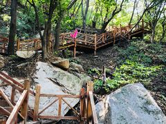 -大岭沟猕猴桃谷风景区