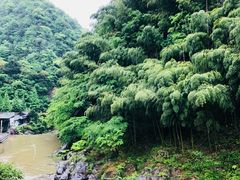 -藏龙百瀑风景区