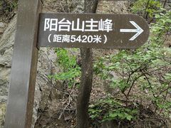 -阳台山自然风景区