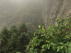 -崀山风景名胜区