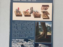 -延庆地质公园博物馆