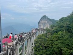 -印象鲵宴·张家界地标美食名片(溪布街店)