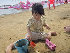 -碧海金沙