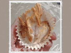 -盒马X会员店(上海森兰商都店)