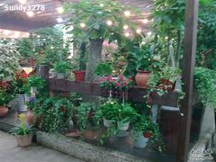 -双季花艺园艺市场(浦东店)