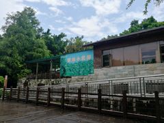 -大湾区中央湿地公园